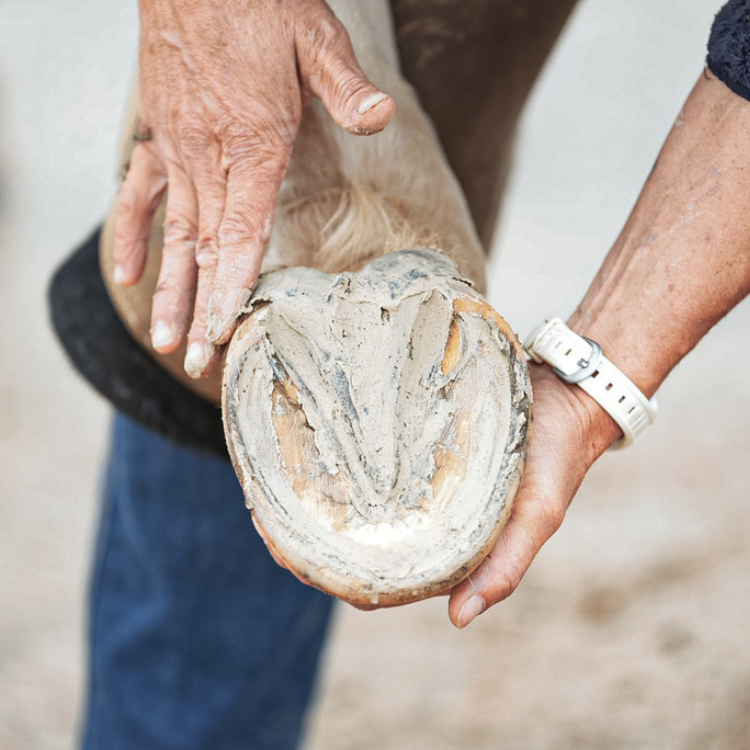 Argile Ravene Pour Sabot Pediplast 700g