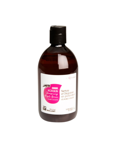Shampoing Michel Vaillant Horskin Concentré Argile Verte Force 3