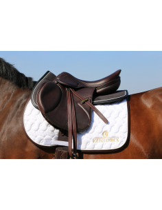 Amortisseur Kentucky Absorb anatomique 2
