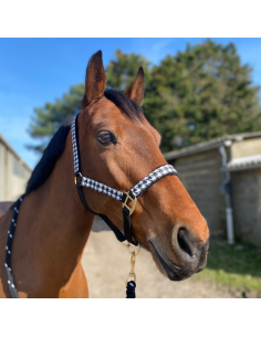 Set Licol + Longe Pied De Poule Canter