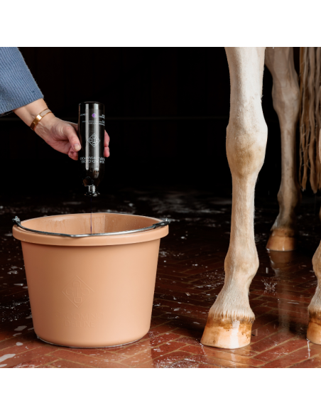 Seau Grooming Deluxe BEIGE