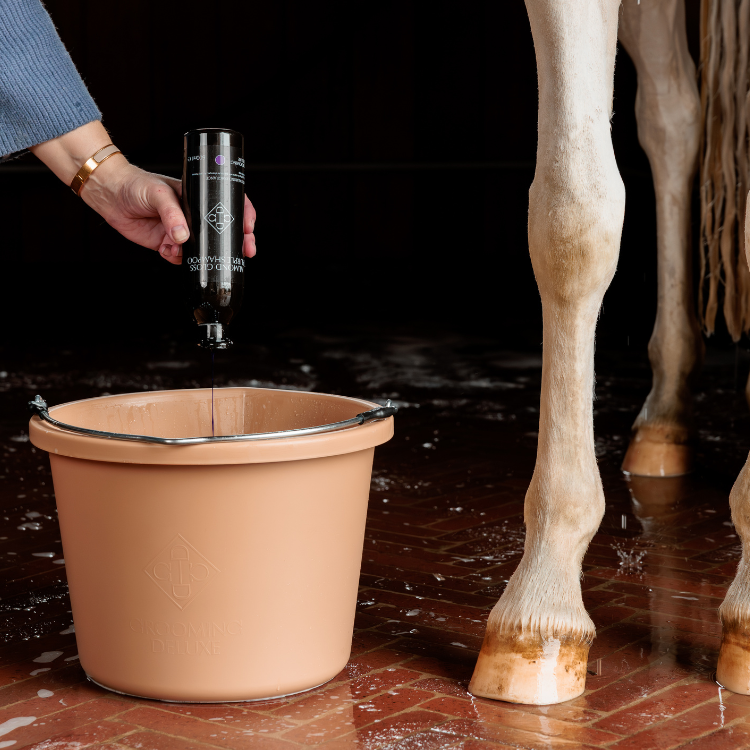 Seau Grooming Deluxe BEIGE