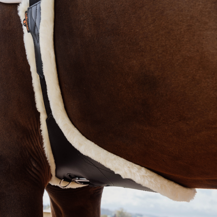 Sangle Bavette Kentucky Anatomique Avec Mouton Brun