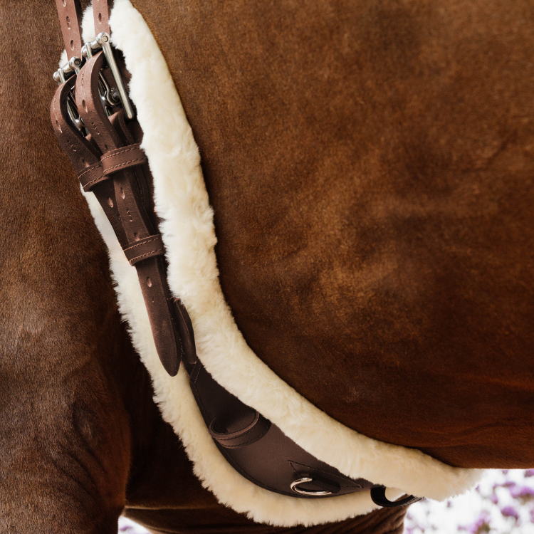 Sangle Courte Kentucky Anatomique En Mouton Brun