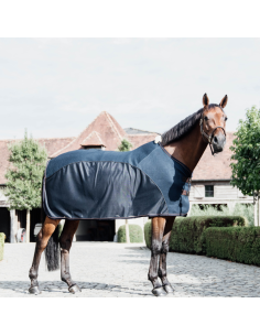 Kentucky Anti-Fly Combo Sheet 2