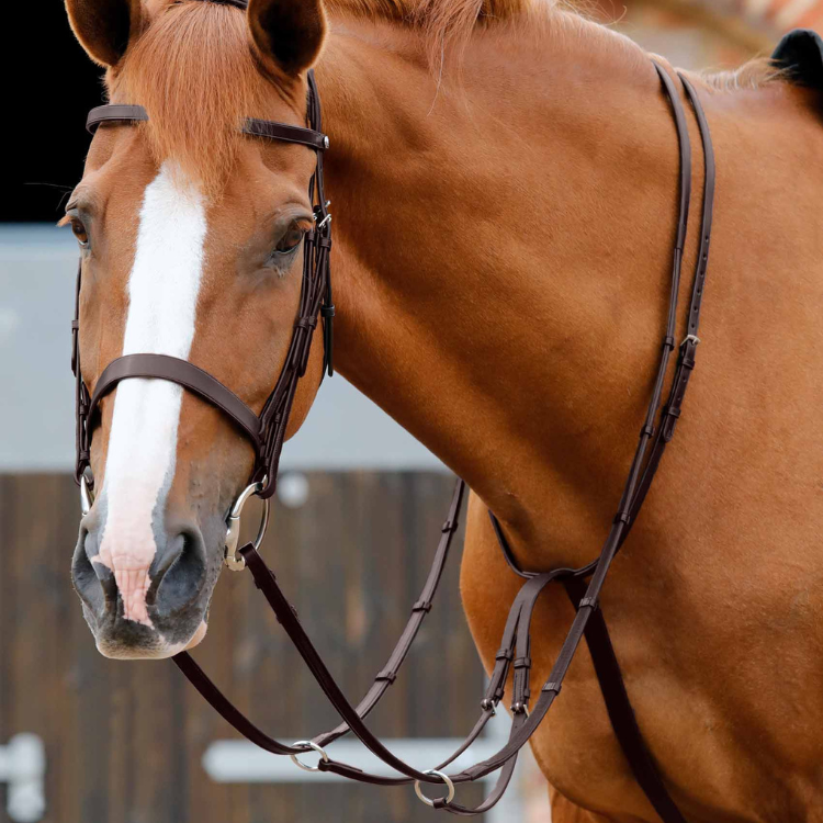 Attache de martingale réglable Equestro - Produits pour chevaux et