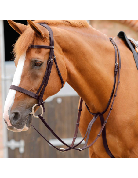 Martingale Premier Equine Fuscaldo Marron