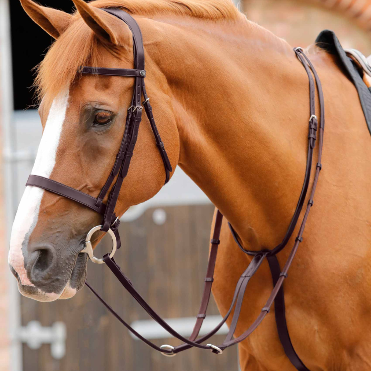 Martingale Premier Equine Fuscaldo Marron