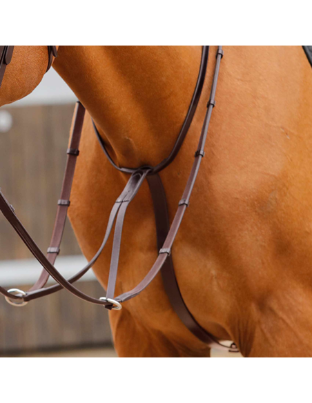 Martingale Premier Equine Fuscaldo Marron