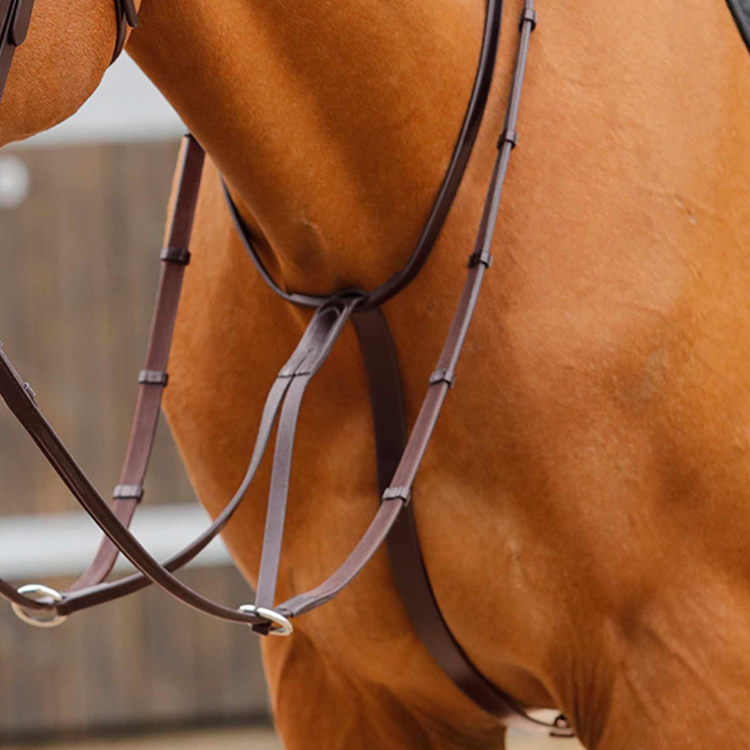 Martingale Premier Equine Fuscaldo Marron