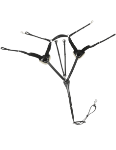 Collier De Chasse Premier Equine 5 Points Invorio Noir