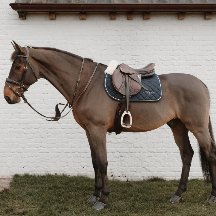 Martingale Pleine Dy'on Élastique Brun