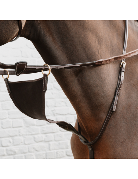 Martingale Pleine Dy'on Élastique Brun