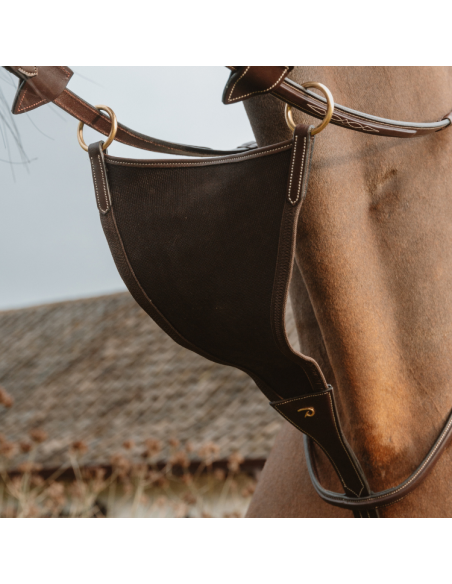 Martingale Pleine Dy'on Élastique Brun