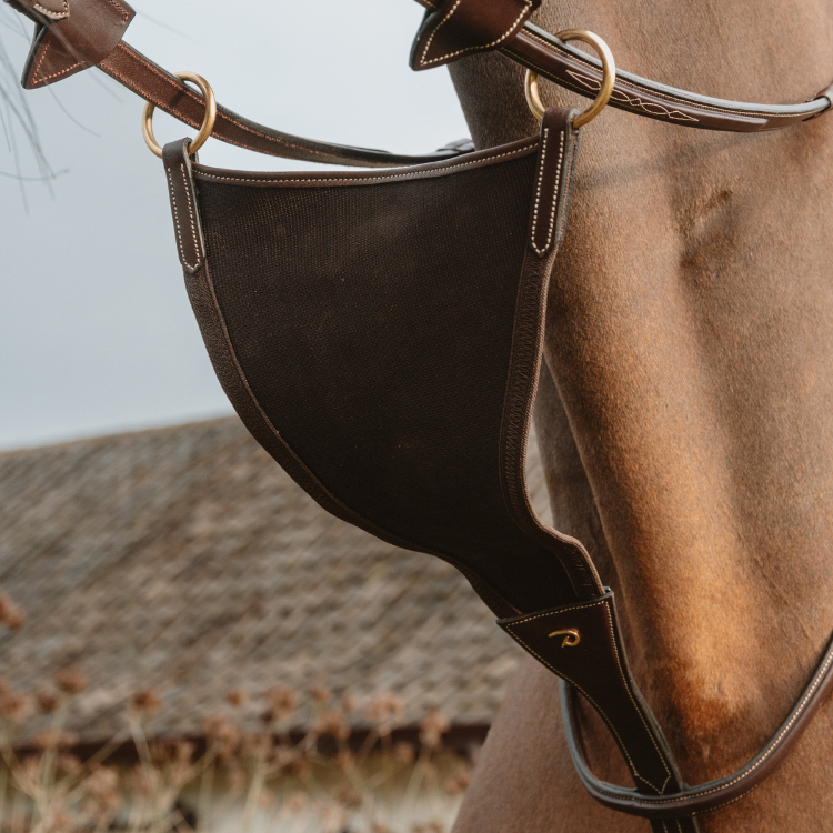 Martingale Pleine Dy'on Élastique Brun