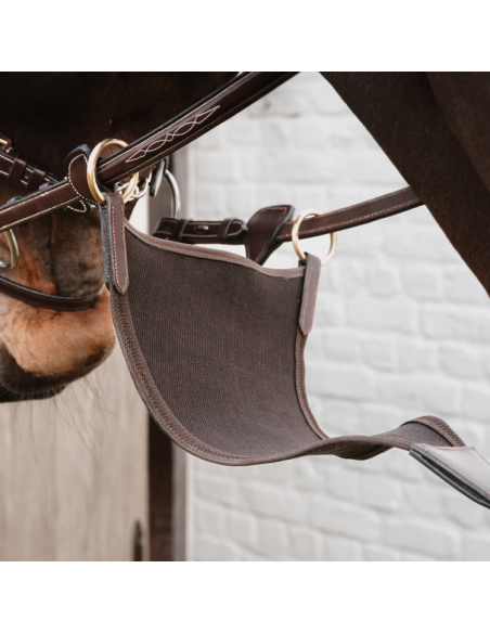 Martingale Pleine Dy'on Élastique Brun