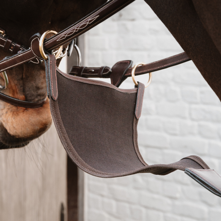 Full, Marron clair Cognac: Cuirasse et martingale en cuir réglable avec boucles en laiton