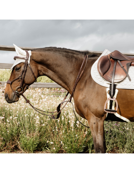 Martingale Pleine Dy'on Élastique NE Brun