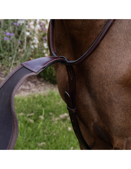 Martingale Pleine Dy'on Élastique NE Brun