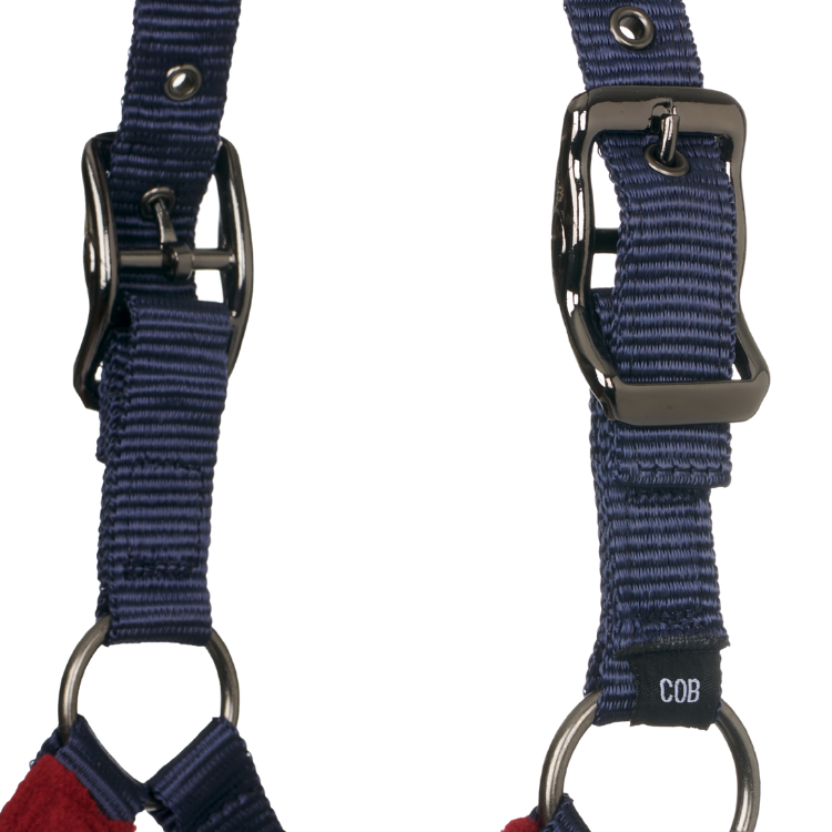 Licol Et Longe LeMieux Vogue Bordeaux