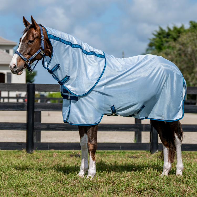 Chemise Horseware Amigo Bug Plus Bleu azur/bleu électrique