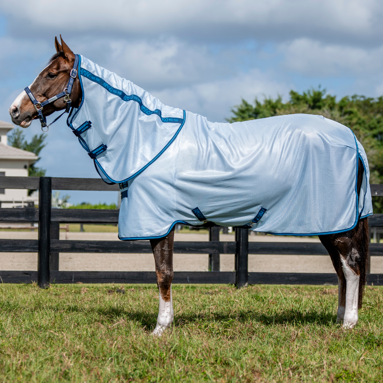 Chemise Horseware Amigo Bug Plus Bleu azur/bleu électrique