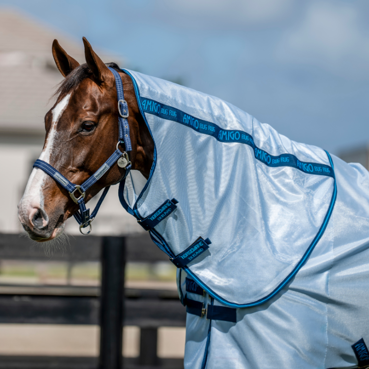 Chemise Horseware Amigo Bug Plus Bleu azur/bleu électrique