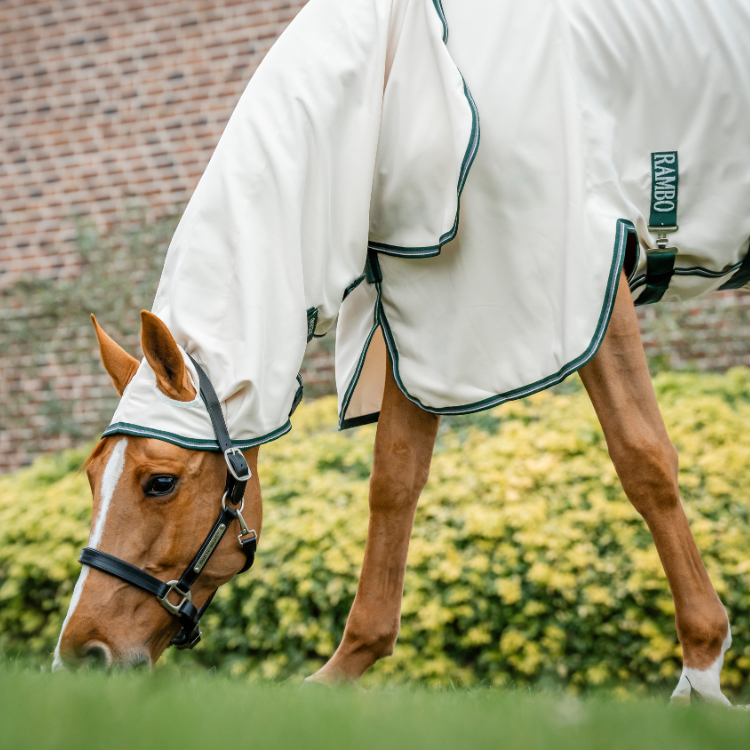 Chemise Horseware Rambo Hoody VERT/BLANC/GRIS/VERT