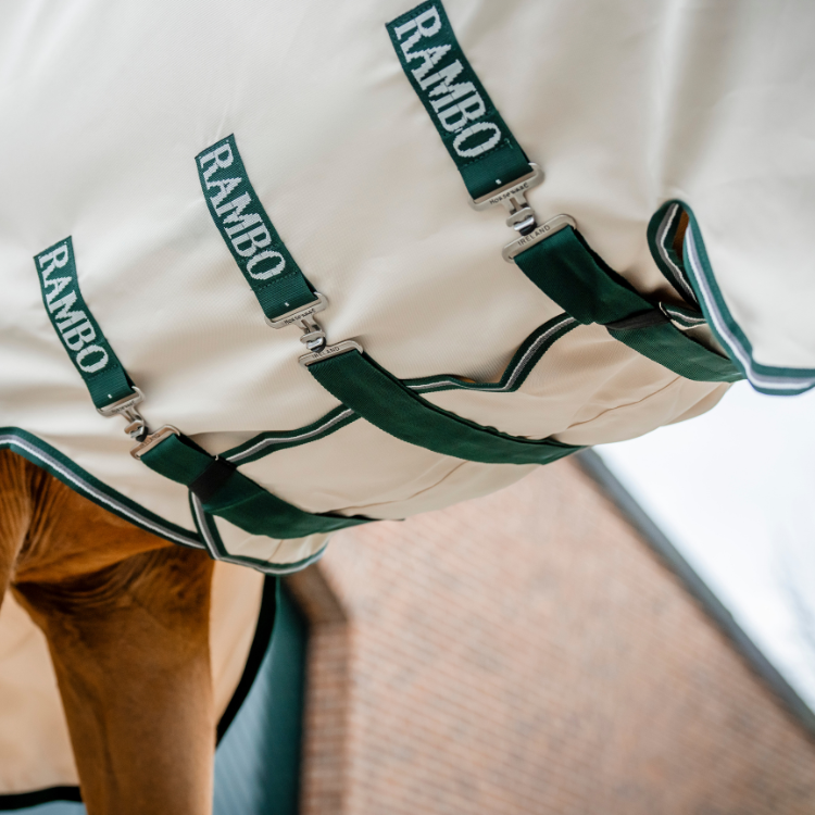 Chemise Horseware Rambo Hoody VERT/BLANC/GRIS/VERT