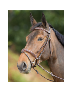 Bridon HFI Anatomic NOIR 2