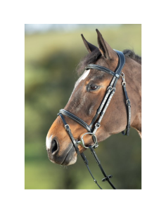 Bridon HFI Functional NOIR