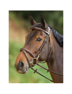 Bridon HFI Functional NOIR 2