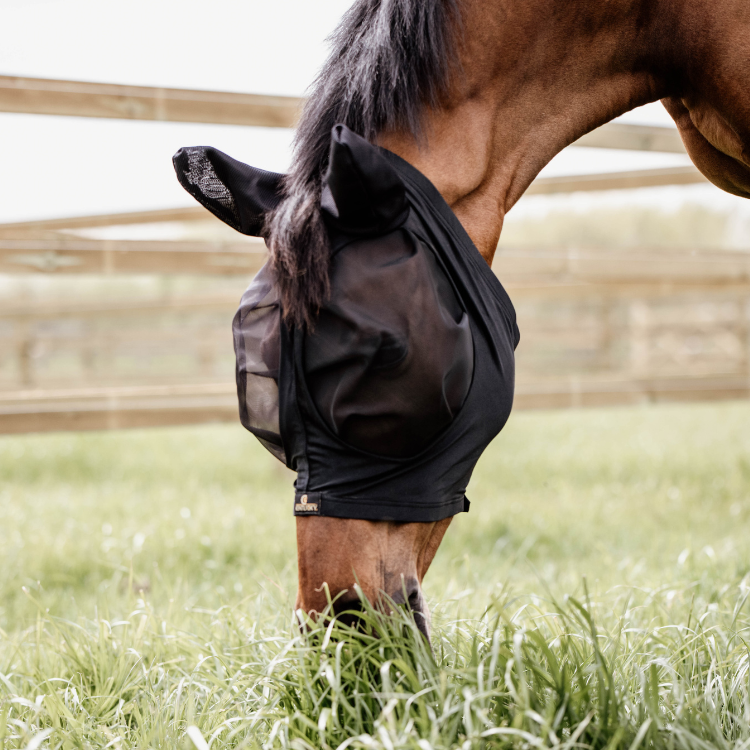 Kentucky Slim Fit Fly Mask