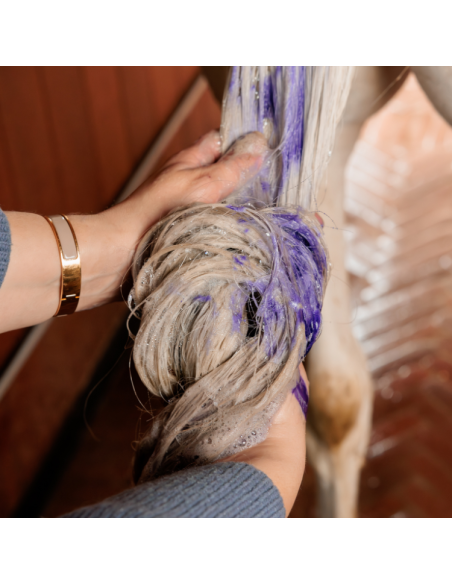 Shampoing Grooming Deluxe Mauve À L'amande 500ml