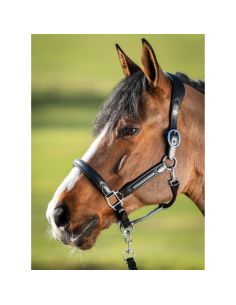 HFI Wave Halter