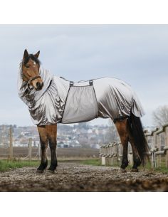 Chemise Riding World Anti-Eczéma Gris 2