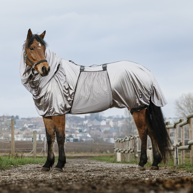 Chemise Riding World Anti-Eczéma Gris
