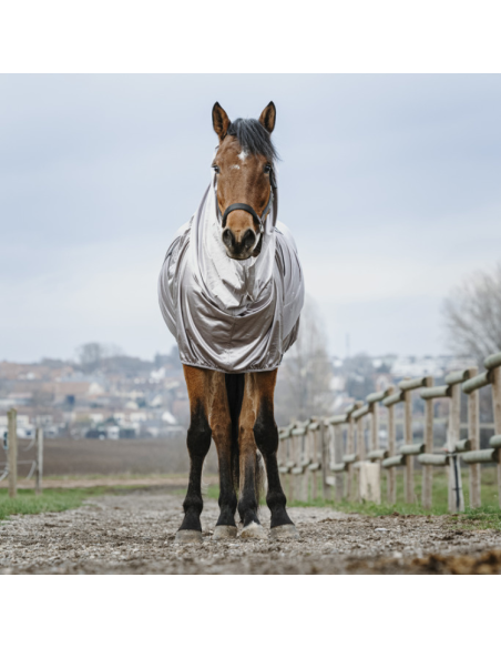 Chemise Riding World Anti-Eczéma Gris