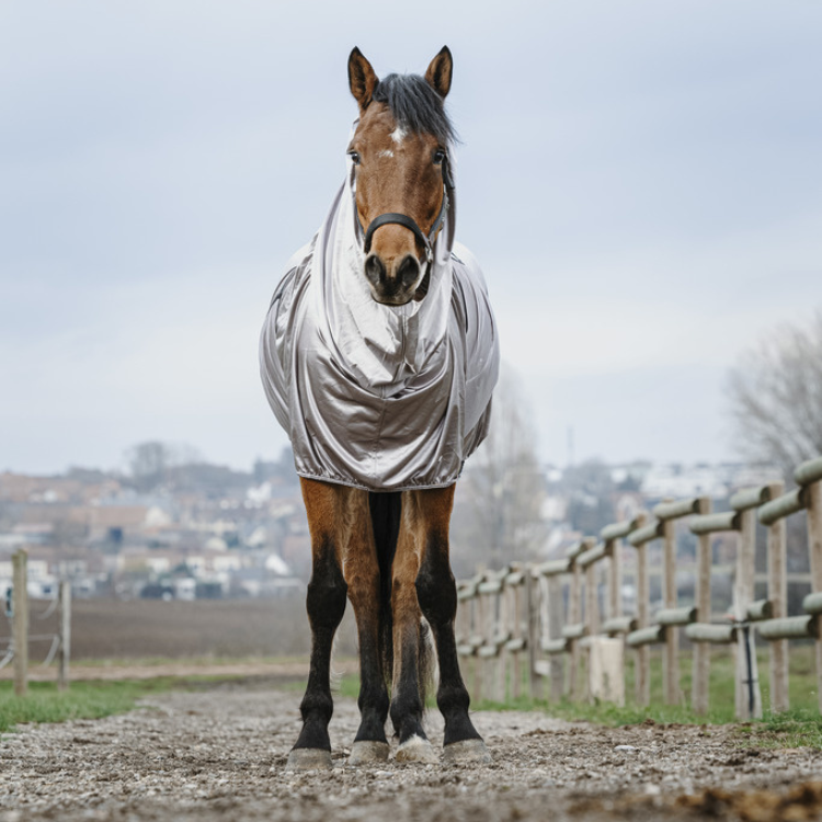 Chemise Riding World Anti-Eczéma Gris