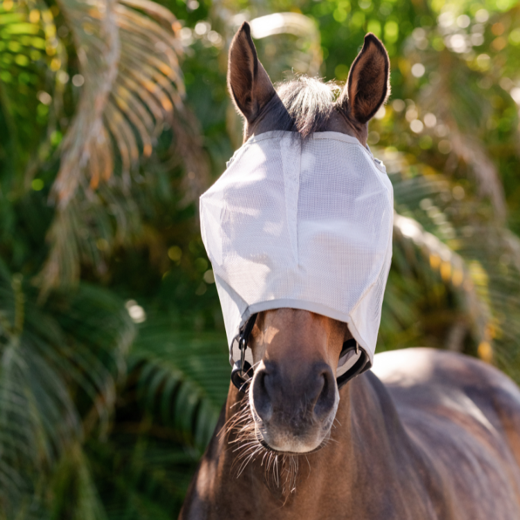 Masque Anti-Mouches Horseware Amigo