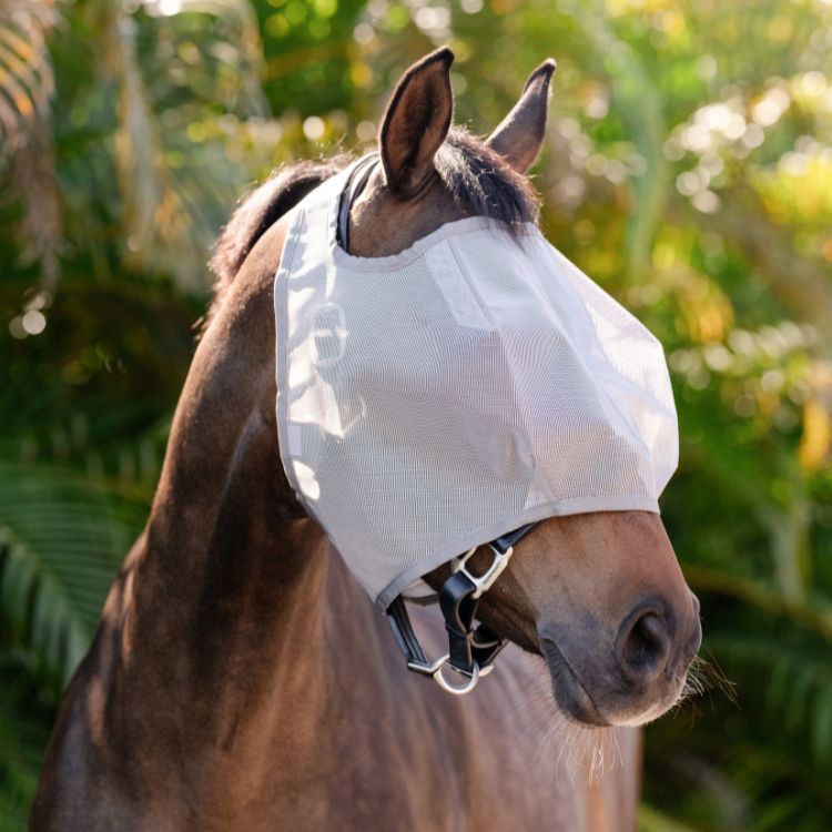Masques anti-mouches Horseware Amigo Flymask argent-gris