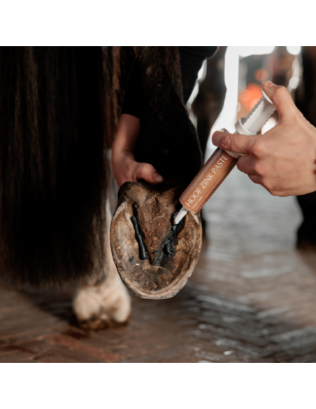 Seringue Grooming Deluxe Equi Hoof Zinc Paste 60ml