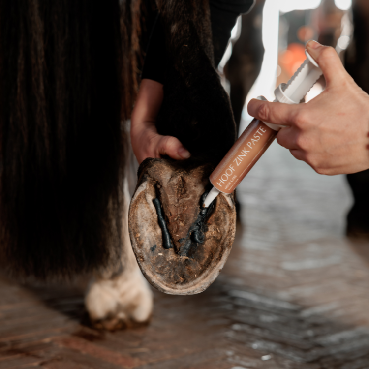 Seringue Grooming Deluxe Equi Hoof Zinc Paste 60ml