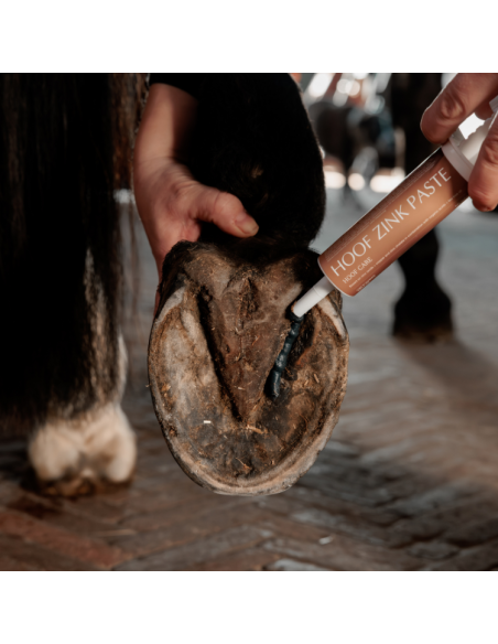 Seringue Grooming Deluxe Equi Hoof Zinc Paste 60ml
