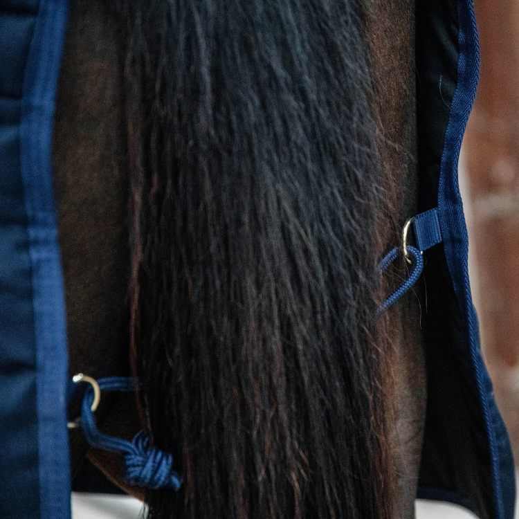 Couverture D'écurie Kentucky Classic 100g Marine