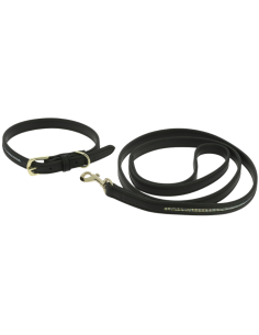 Collier Et Laisse Equithème Max Noir