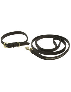 Collier Et Laisse Equithème Max Noir 2