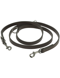 Laisse Pour Chien Equithème Vortex Noir 2