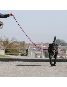 Laisse Pour Chien Equithème Avec Poignée Haspen Noir/framboise 2