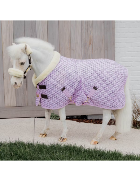 Couverture De Présentation Kentucky Sammy Vieux rose